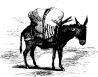20060811162713-anadir.gif