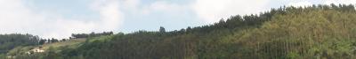 20060811164156-ctttctct806-007.jpg