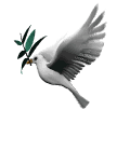 20060928202239-dove-with-olive-branch-md-wht.gif