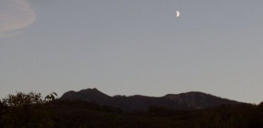20061030144409-lfrio1006-0494.jpg