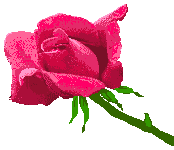 20070521230405-flor21.gif
