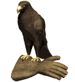 20070722195634-golden-eagle-glove-md-wht.gif