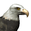 20070722212627-aguila02.gif