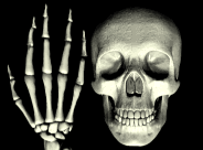 20080412203731-calavera3.gif