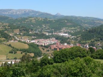 COVI CARCEDO